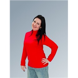 AandOstudio Водолазка В20013В