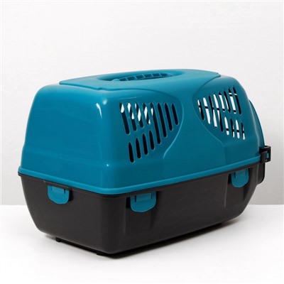 Переноска для животных «Сириус», 33.5×31×50 см, бирюзовая