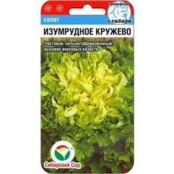 Салат Изумрудное кружево (Сиб сад)