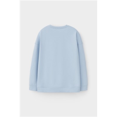 VERY NEAT Свитшот ЕВТ 3221