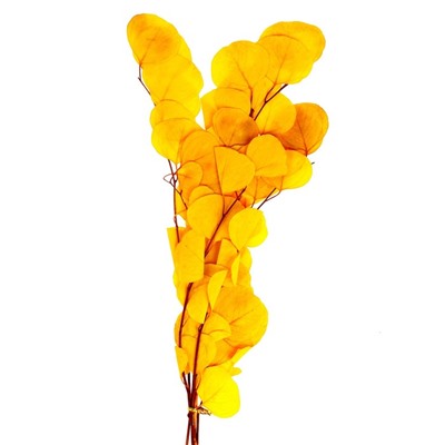Сухоцвет персикового дерева, 50 г, длина — 70 см, жёлтый