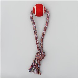 Игрушка канатная «Вираж» с мячом, до 135 г, до 37 см, микс цветов