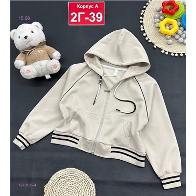 кофта 1978105-4