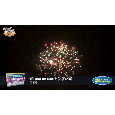 Фейерверк Р7503 Город не спит (1" х 48)