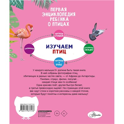 АСТ . "Птицы"
