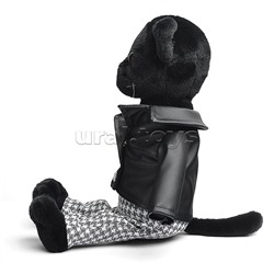 Кот Флеш в кожанке и штанах В27