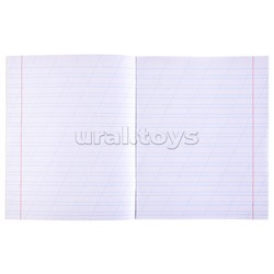 Тетрадь 12л. косая линия "Разные автомобили - 3" цвет.мелов.обл., 4 диз в кор