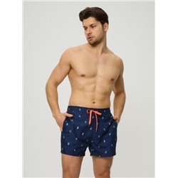 Купальные шорты муж. Torny