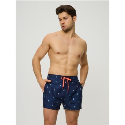 Купальные шорты муж. Torny