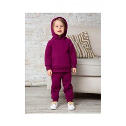 Костюм футер начёс Малинка 20338 (Сливовый)