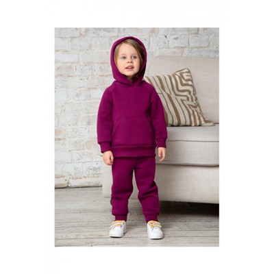 Костюм футер начёс Малинка 20338 (Сливовый)