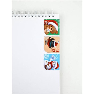 Подарочный набор новогодний, блокнот А6, 40 л., ручка пластик, магнитные закладки 3 шт. «Почта»