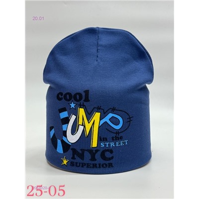 шапка 2054020-4