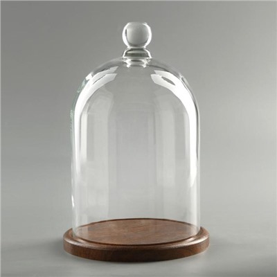 Стеклянный купол-клош с шариком на подставке «Родрик», 27×15 см, коричневый