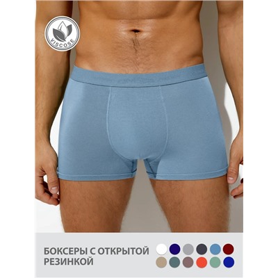 Omsa Трусы OmB 3234 Боксеры мужские с открытой резинкой, VI