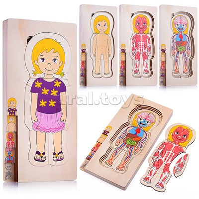 Пазл-вкладыш "Девочка"