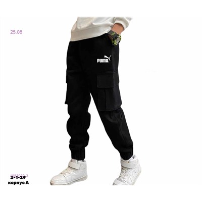 Штаны 1983932-3