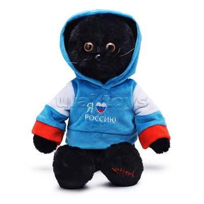 Кот в кофте Россия