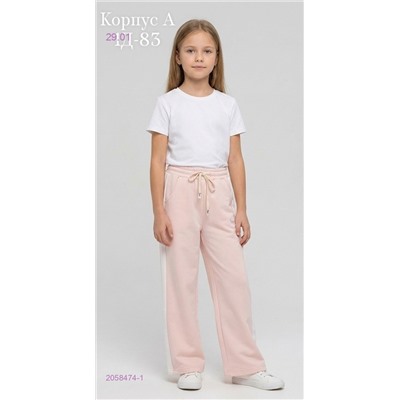 штаны 2058474-1