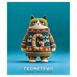 Тетрадь  48л "Котики  в свитерах" по геометрии С0204-02 КТС-ПРО
