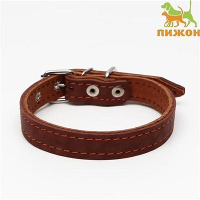 Ошейник кожаный двухслойный, 46×2 см, ОШ 25-35 см, коричневый