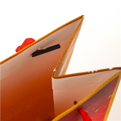 Пакет подарочный новогодний под бутылку «Верь в чудеса», 13×36×10 см