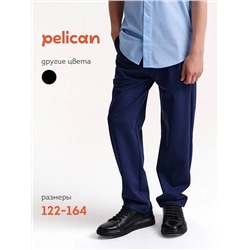 PELICAN Брюки BFPQ7045