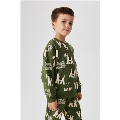 Джемпер ACOOLA, 1195376