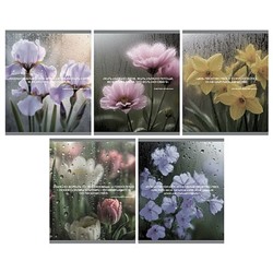 Тетрадь  48л клетка "После дождя" твин-лак ТК2Л489669 Listoff