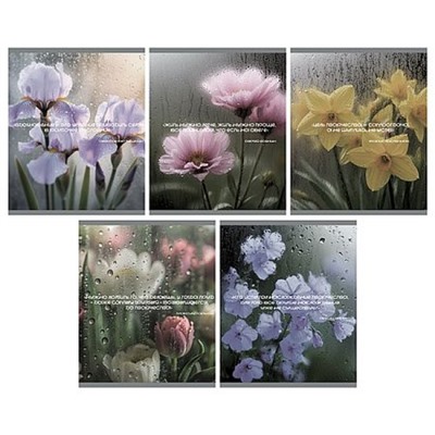 Тетрадь  48л клетка "После дождя" твин-лак ТК2Л489669 Listoff