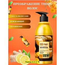 Имбирный шампунь 2051621-1