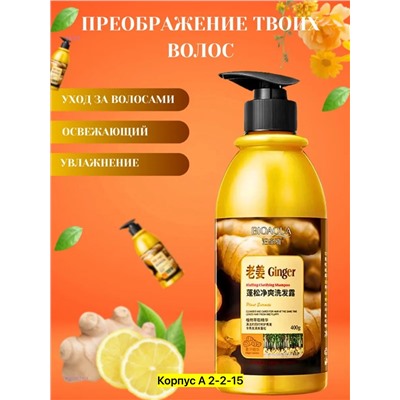 Имбирный шампунь 2051621-1