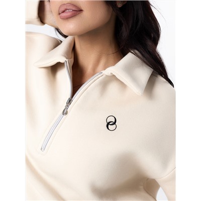 Толстовка (начес) 323164ВШWbч