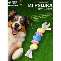 Игрушка жевательная для собак Пижон Premium на верёвке, 5 элементов, термопластичная резина, микс