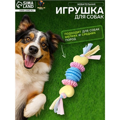 Игрушка жевательная для собак Пижон Premium на верёвке, 5 элементов, термопластичная резина, микс