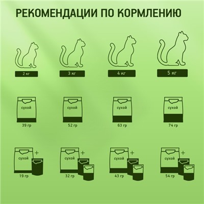 Сухой корм KiteKat «Мясной пир» для кошек, 15 кг
