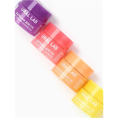 Бальзамы для губ, набор 4 шт. × 3 г, URAL LAB