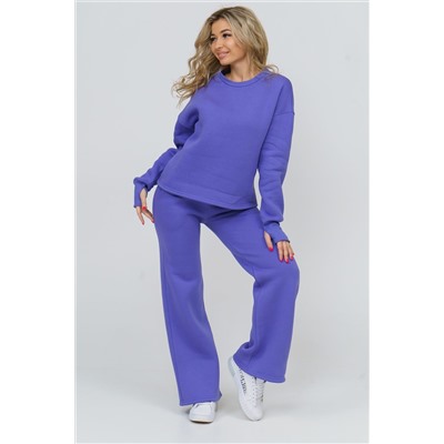Костюм 36592 (свитшот + брюки) НАТАЛИ, 811319