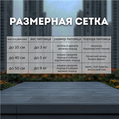 Рюкзак-переноска для кошек и собак, сетка с кошкой, оксфорд+ПВХ37×37×25 см, серый/жёлтый