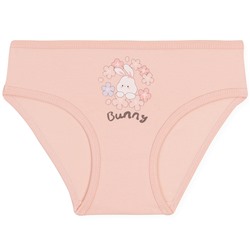 5834 Трусы для девочек многоцвет (BAYKAR)