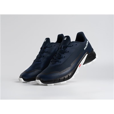 Кроссовки Salomon Alphacross 5 GTX