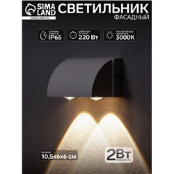 Светильник фасадный «Каскад», FSD-094, 2 Вт, 3000К, 2 луча, IP65, 220 В, металл, черный