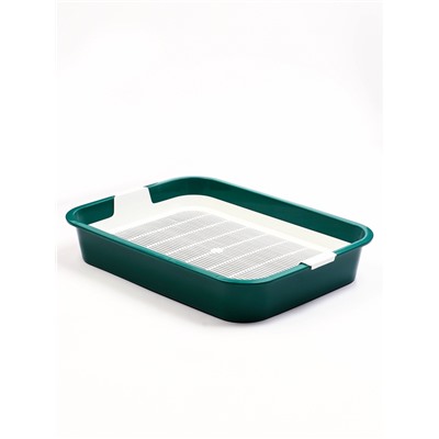 Туалет для кошек «Белла мини», 35×26×6 см, с сеткой, пластик, зелёный