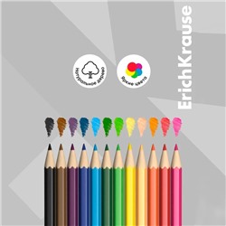 Карандаши 12 цветов ErichKrause Basic, дерево, шестигранные, 2.6 мм грифель, картонная упаковка, европодвес