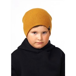 CLEVER Шапка 423559аш