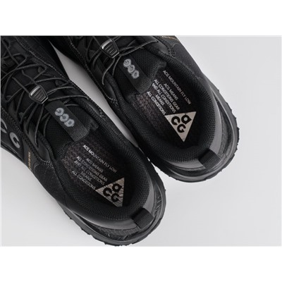 Кроссовки Nike ACG Mountain Fly Low