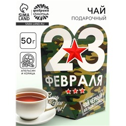 Чай подарочный «23 февраля», вкус: апельсин и корица, 50 г