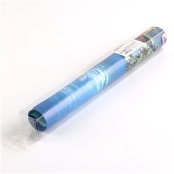 Фон для аквариума двухсторонний, 30×50 см