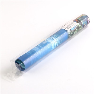 Фон для аквариума двухсторонний, 30×50 см