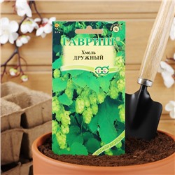 Семена цветов Хмель "Дружный", ц/п,  0,1 г